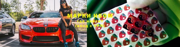 трава Наволоки
