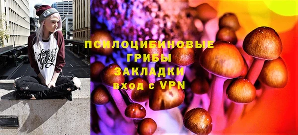 кокс Арсеньев
