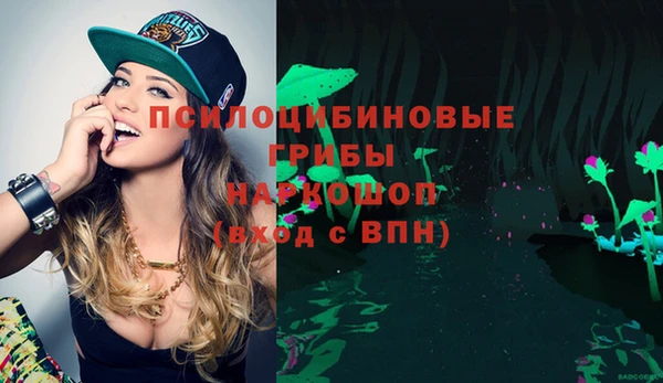дурь Надым